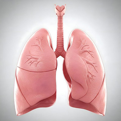 Respiratory